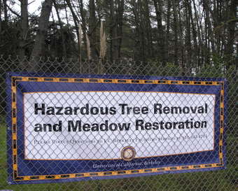 tree-cutting sign